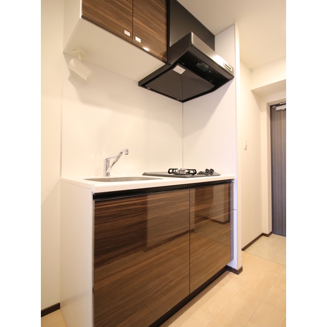 プレール・ドゥーク門前仲町Ⅲ システムキッチン