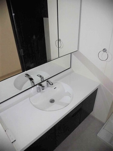 ファミール明大前3階 洗面所　※前回募集時2022年9月撮影