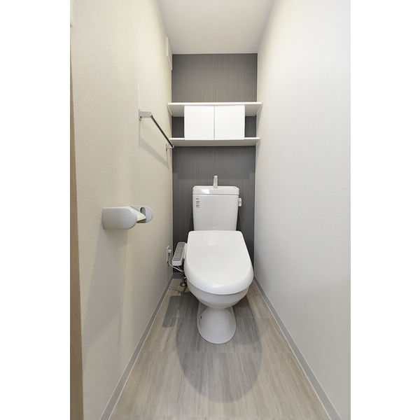 クリオ　ラモード学芸大学Ⅱ0305号室 トイレ