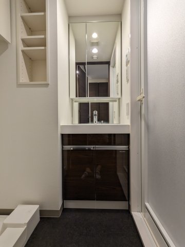 ケーディーエックスレジデンス豊洲617号室 洗面
