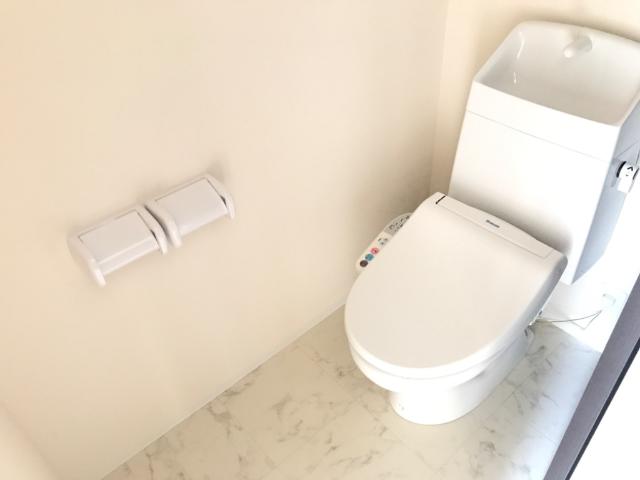 グリーンパーシモン102号室 トイレ