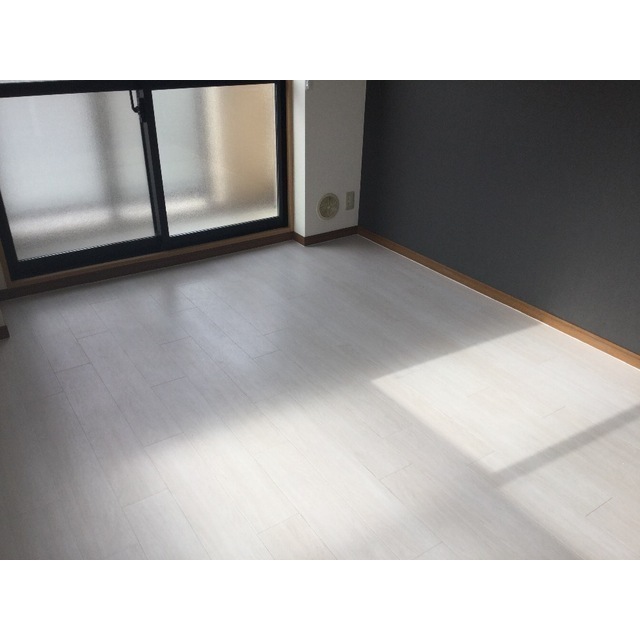 シャトール田口金沢八景501号室 リビング