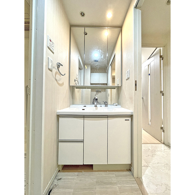 グランド・ガーラ銀座 洗面