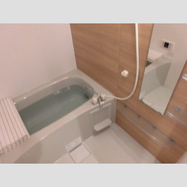 グリーングラス303号室 バス