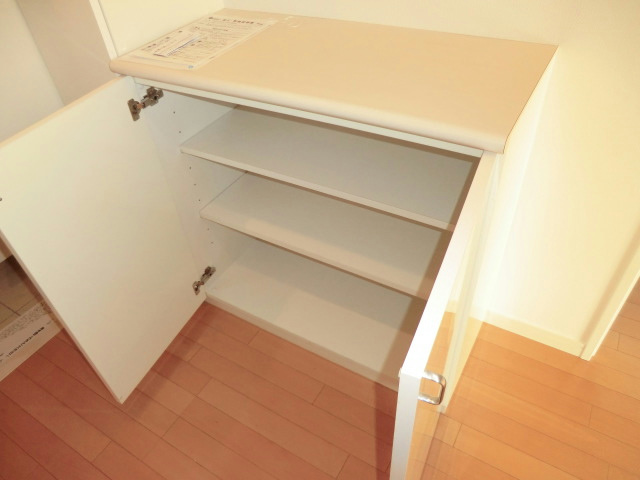 アイビーテラス602号室 収納