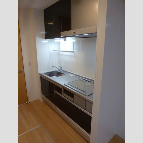 ロータス草加　Ⅱ107号室 キッチン