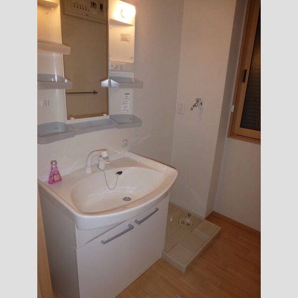 ルミエール(毛呂山) 洗面