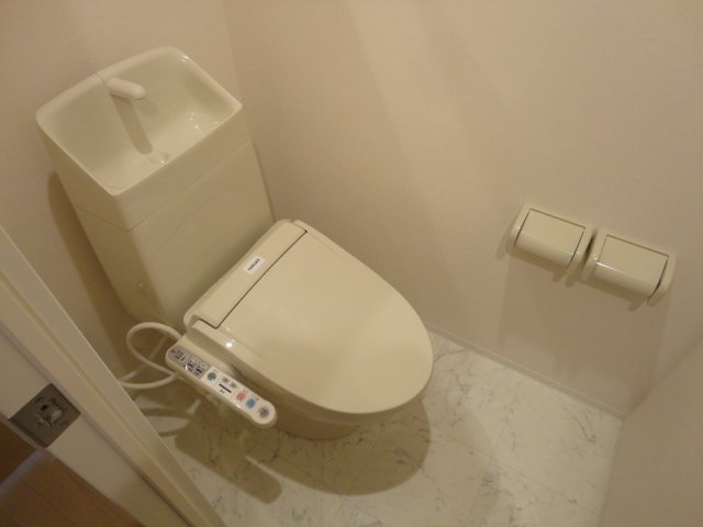 Ｌｅ　Ｃｉｅｌ　Ｂｌｅｕ(ルシエルブルー)307号室 シャワー付トイレ