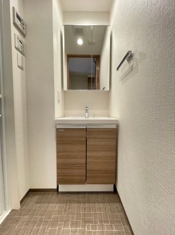 DIPS大山東町2303号室 洗面