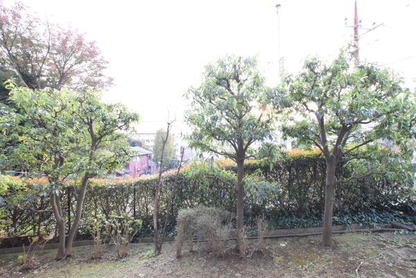 コーポレート鷺沼2階 部屋その他