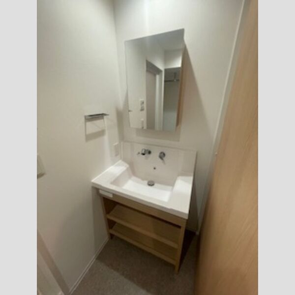 ロイジェント西新井0202号室 洗面