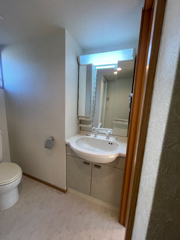 サンヴィアーレ北小金2階 洗面