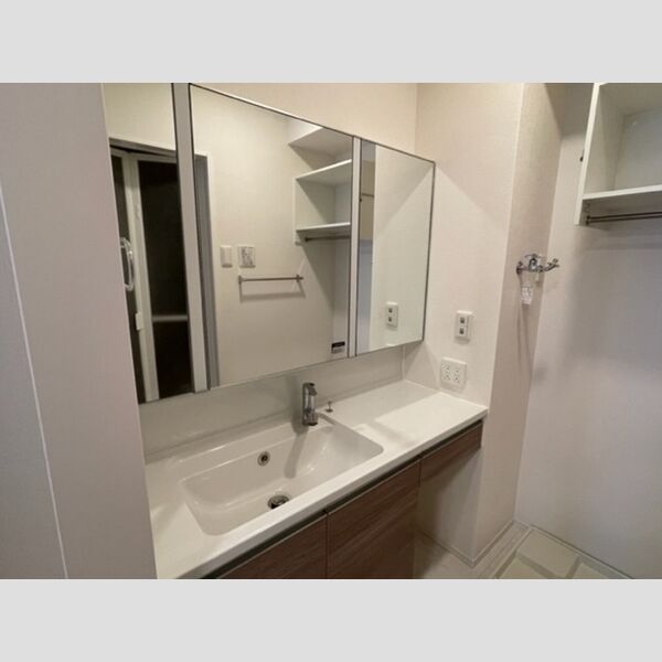 カルモ101号室 洗面所