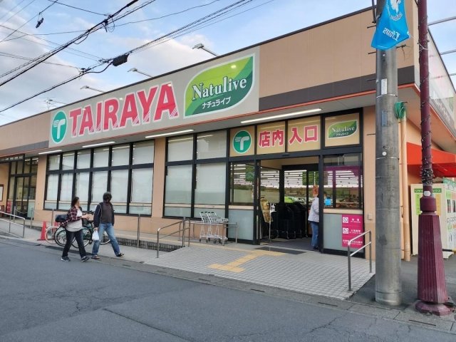 西武池袋線 狭山ヶ丘駅 3階建 築31年 スーパー『TAIRAYA』まで徒歩10分