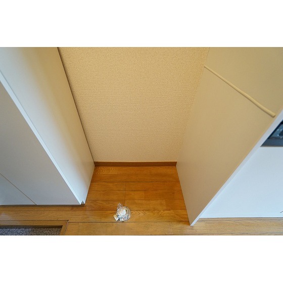 カディカワセⅢ0201号室 室内洗濯機置場