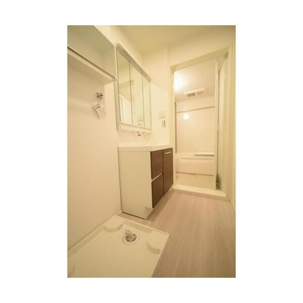 つわぶき荘 洗面