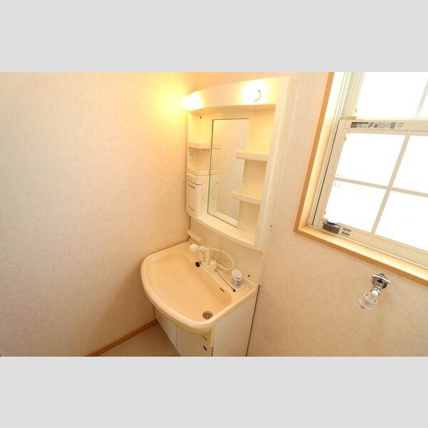 レディアンス熊谷203号室 洗髪洗面化粧台