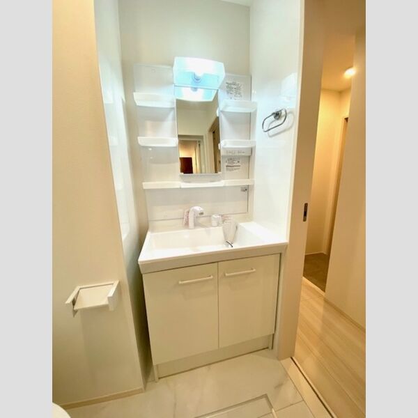 メゾン・ド・オカ 302号室　洗面台