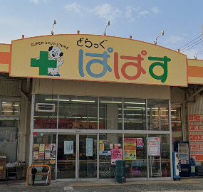 ラプレ下丸子206号室 【ドラッグストア】どらっぐぱぱす 下丸子店まで322ｍ