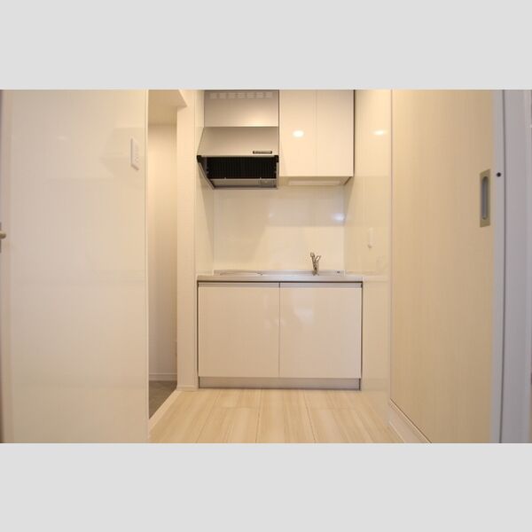 エクセリア北加平町201号室 システムキッチン