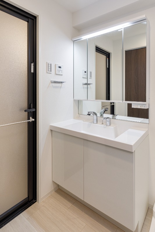 アルトヴィラ虎ノ門11階 洗面