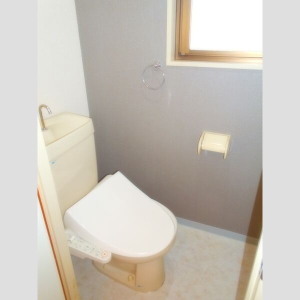 ティーワイパレス204号室 トイレ