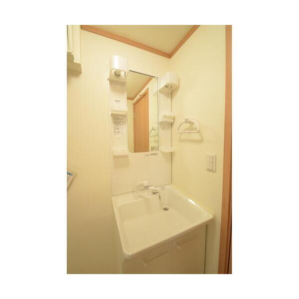 フェリース津田沼103号室 洗面