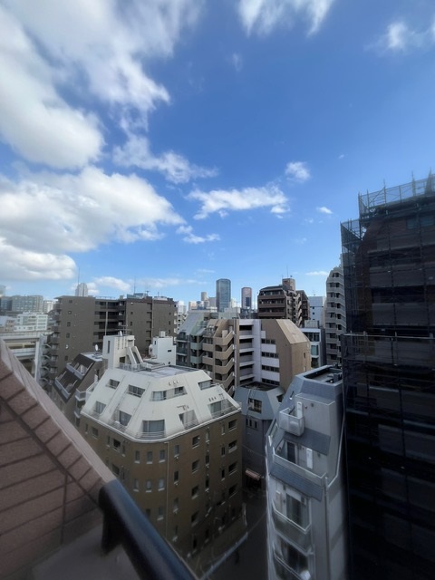 グランド・ガーラ麻布十番11階 展望