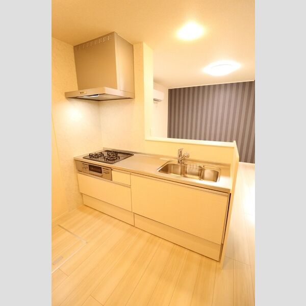RENOM103号室 キッチン