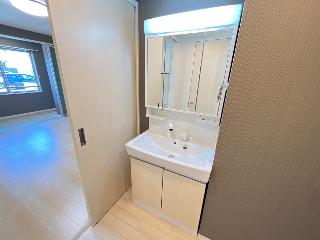仮称）稲城市大丸　新築アパート202号室 洗面（イメージ）