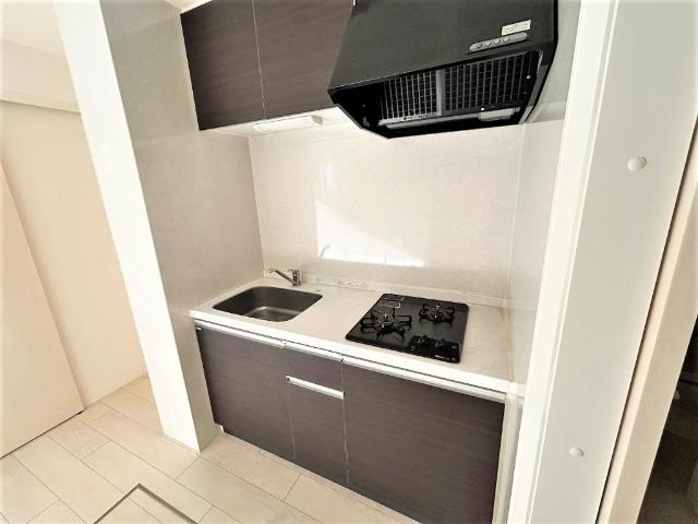 エマーソン上星川102号室 キッチン