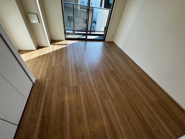 SYFORME KANNAIⅡ ※過去退去時のお写真です