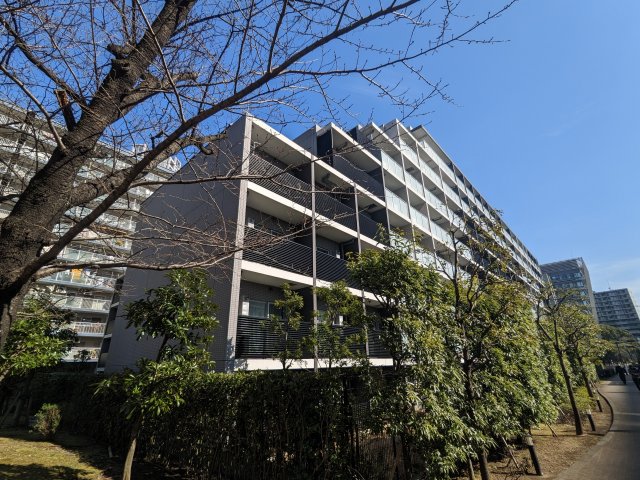 ケーディーエックスレジデンス豊洲 外観