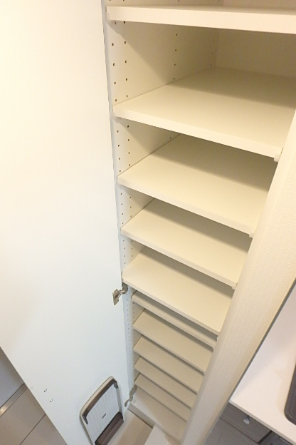 ガーラ・プレシャス川崎9階 収納