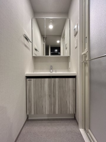 DIPS明大前310号室 洗面