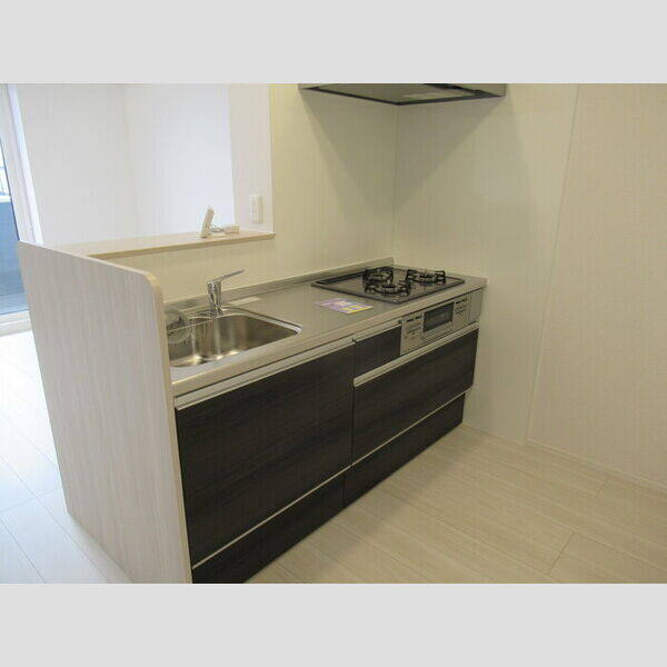 N・D-ROOM IIDACHOU　A棟303号室 システムキッチン