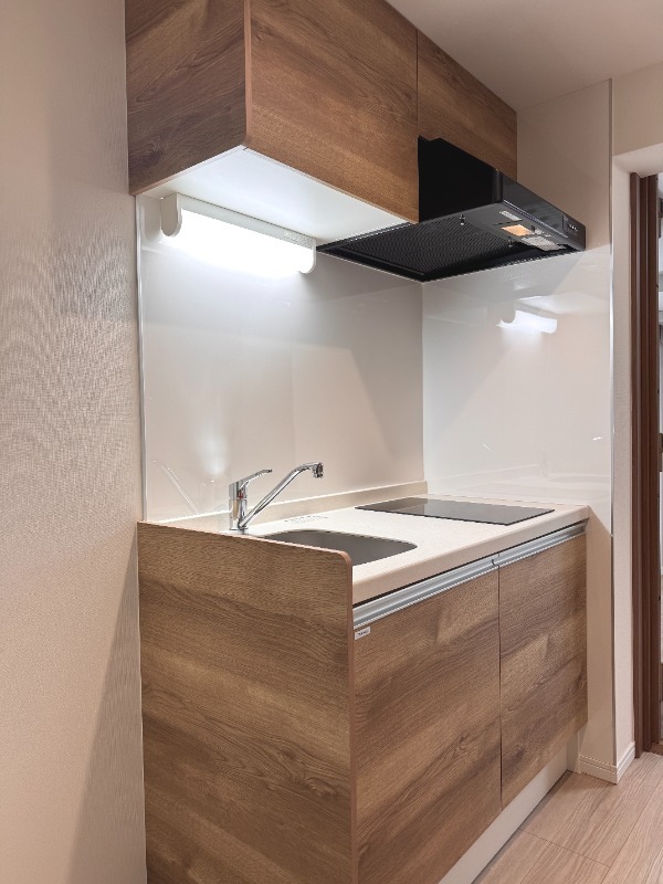 THE PALMS MUSE 新江古田1階 キッチン