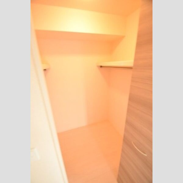 ティアレス　Ⅰ ウォークインクローゼット