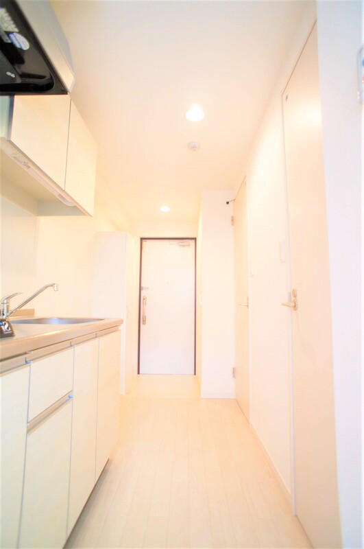 リブリ・グランドⅢ 玄関