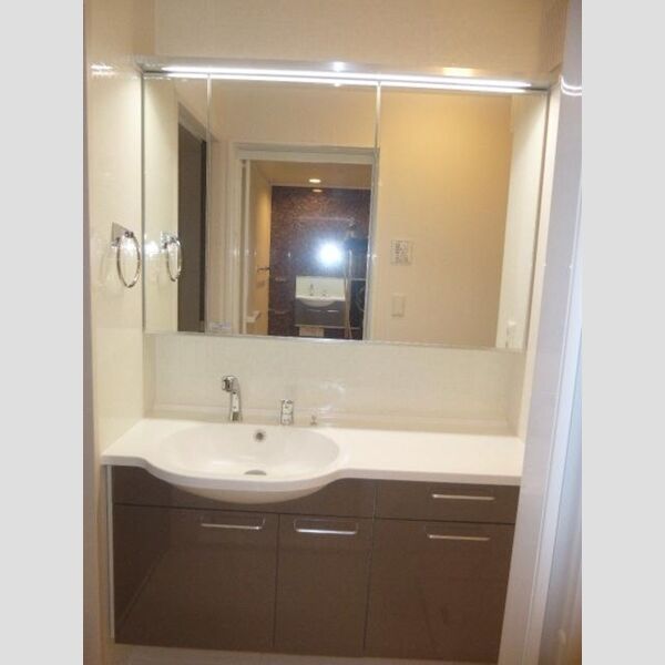 Fortuna103号室 洗面