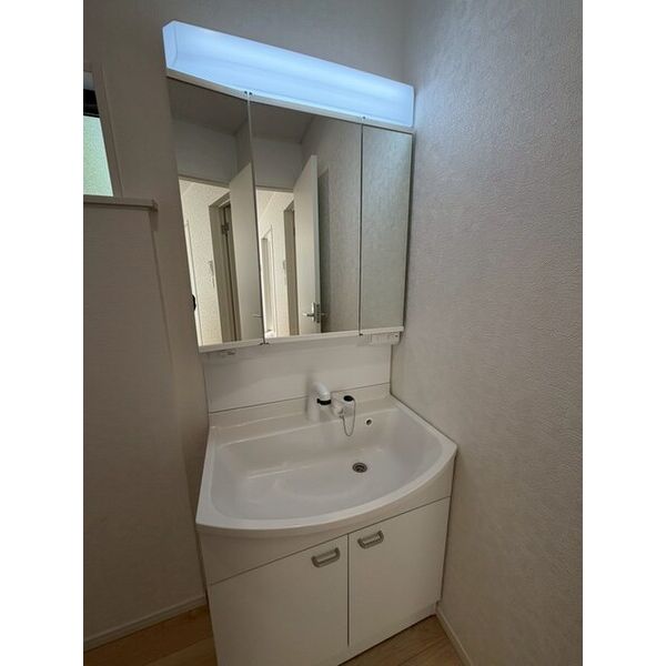 クレイドルガーデン柏市花野井第10　1号棟0001号室 洗面