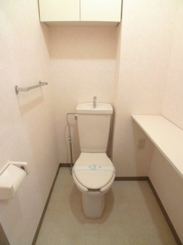 パレスオオハク トイレ