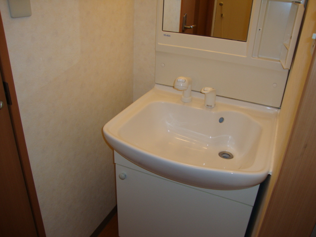 プリオール２００４301号室 洗面