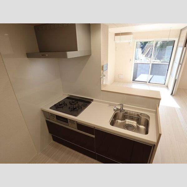 グリーンハウス102号室 システムキッチン