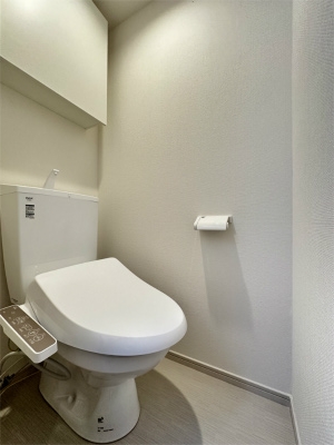 リブリ・津田山2階 トイレ