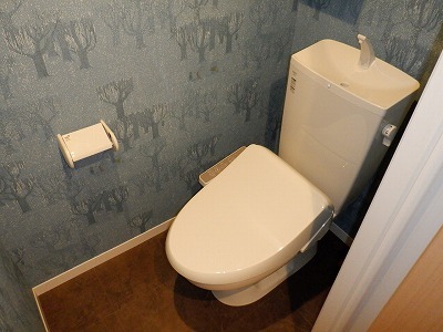 メゾン・ド・シアンブラン トイレ