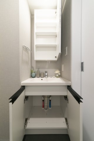 プラウドフラット浅草701号室 洗面