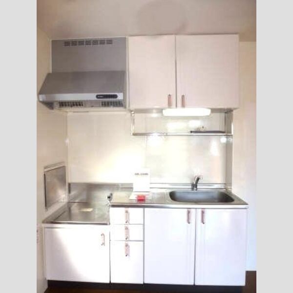 オーククレスト　Ⅰ/Ⅱ/Ⅲ/Ⅳ/Ⅴ/ⅥⅥ101号室 キッチン