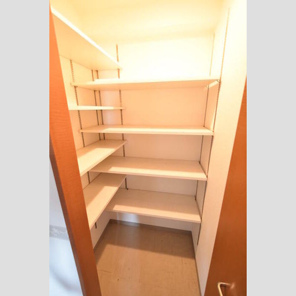 ロイヤルパークス西新井0509号室 シューズインクローゼット