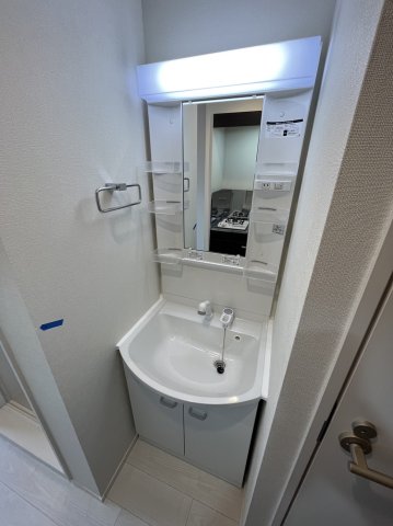 ハーモニーテラス上中里0205号室 洗面